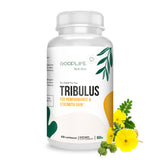Tribulus Terrestris Extract for high performance, 60 Capsule